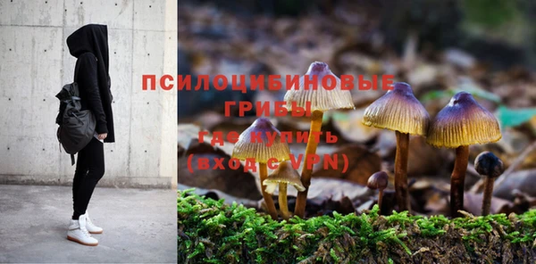 твердый Балабаново