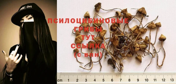 a pvp Беломорск
