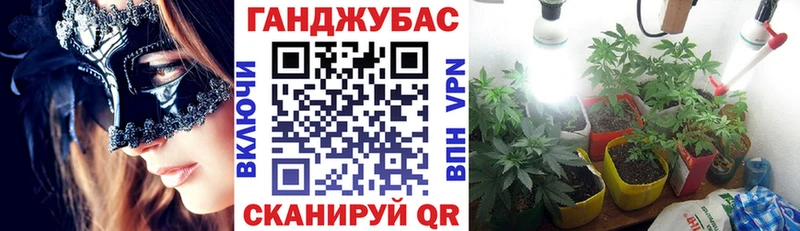 Шишки марихуана SATIVA & INDICA  OMG зеркало  Гороховец  как найти закладки 
